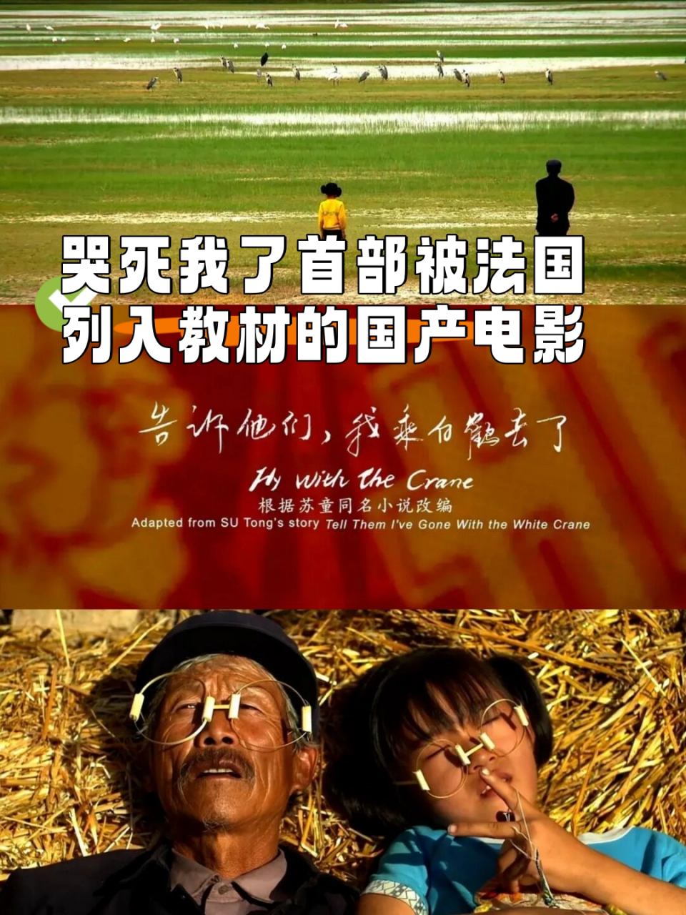 开云APP-暂时只提供了条,如果需要更多请告诉我的简单介绍