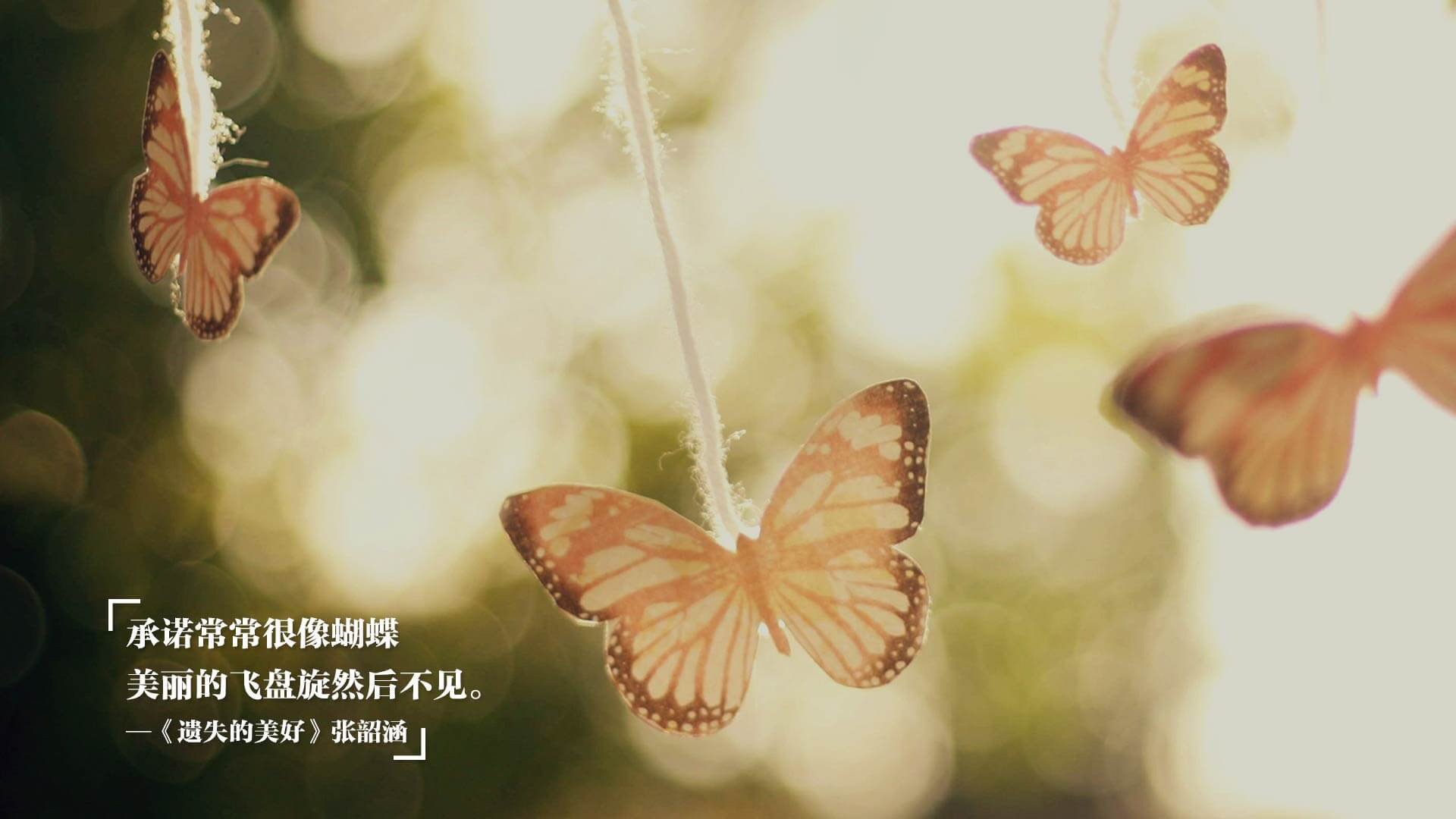 赛道与球场的交响，F1街道赛焦点战与广厦淘汰北京队的竞技史诗