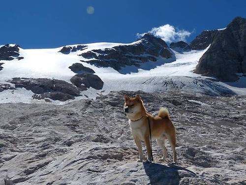 霍勒迪硬仗之王！上海男篮末节狂飙，一波带走开拓者背后的决胜基因