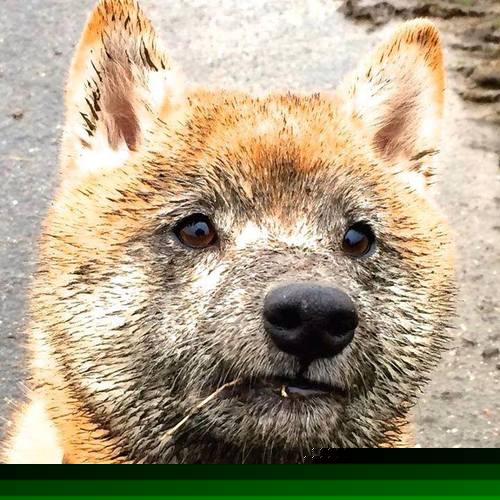 抢七夜的神迹，当足球巨星阿圭罗跨界接管，改写巴黎篮球记忆