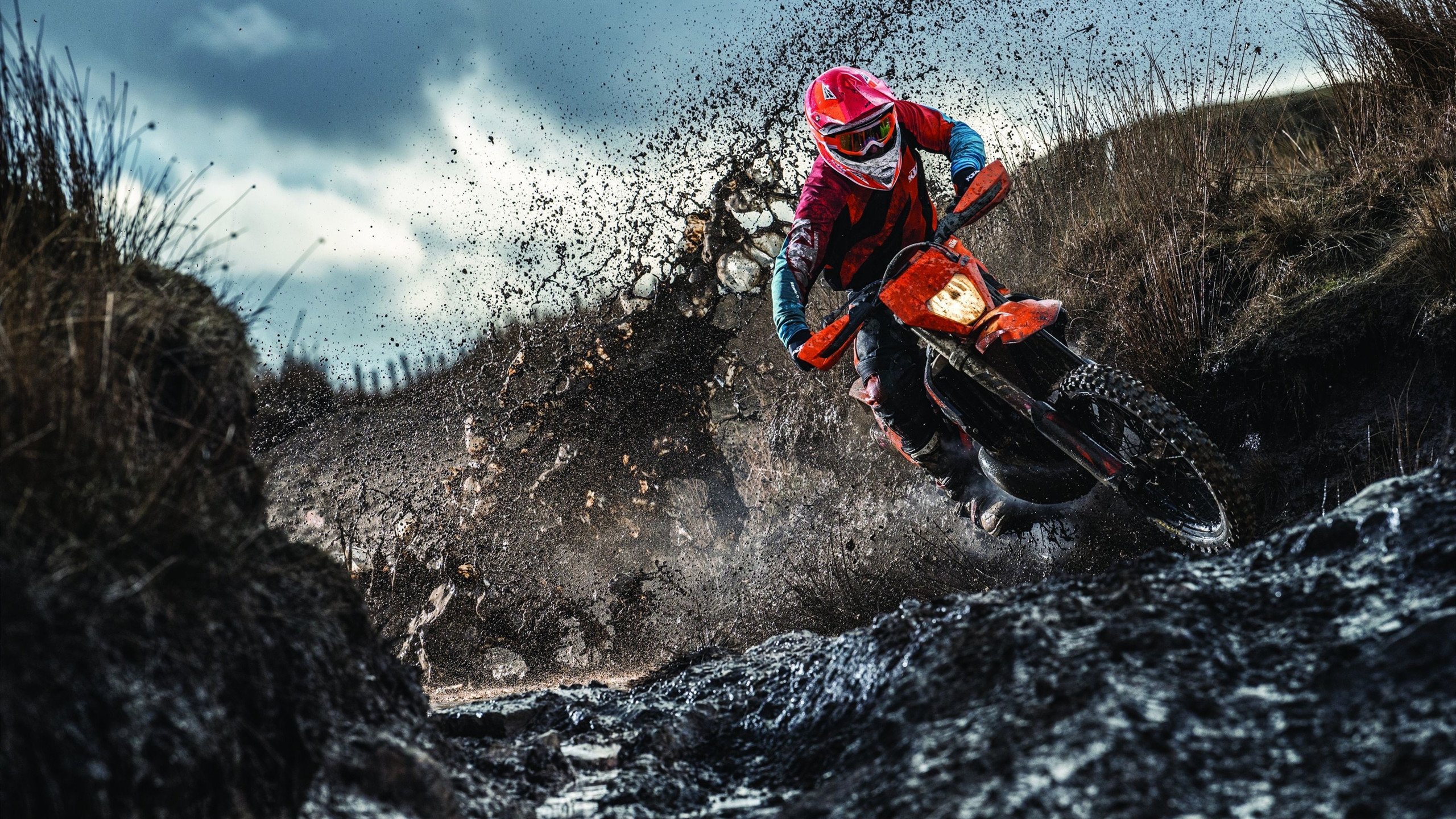 引擎啸叫与绿茵狂欢，一场跨越维度的体育交响