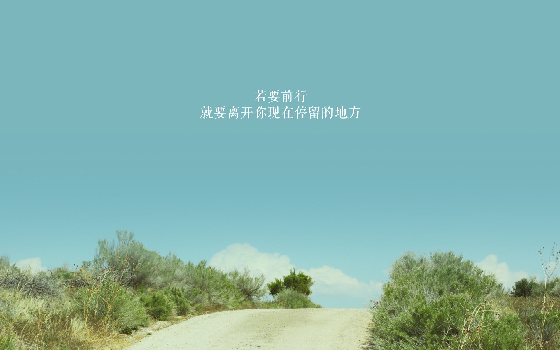 开云体育在线-逆光之战，卡拉斯科的欧冠生涯之夜