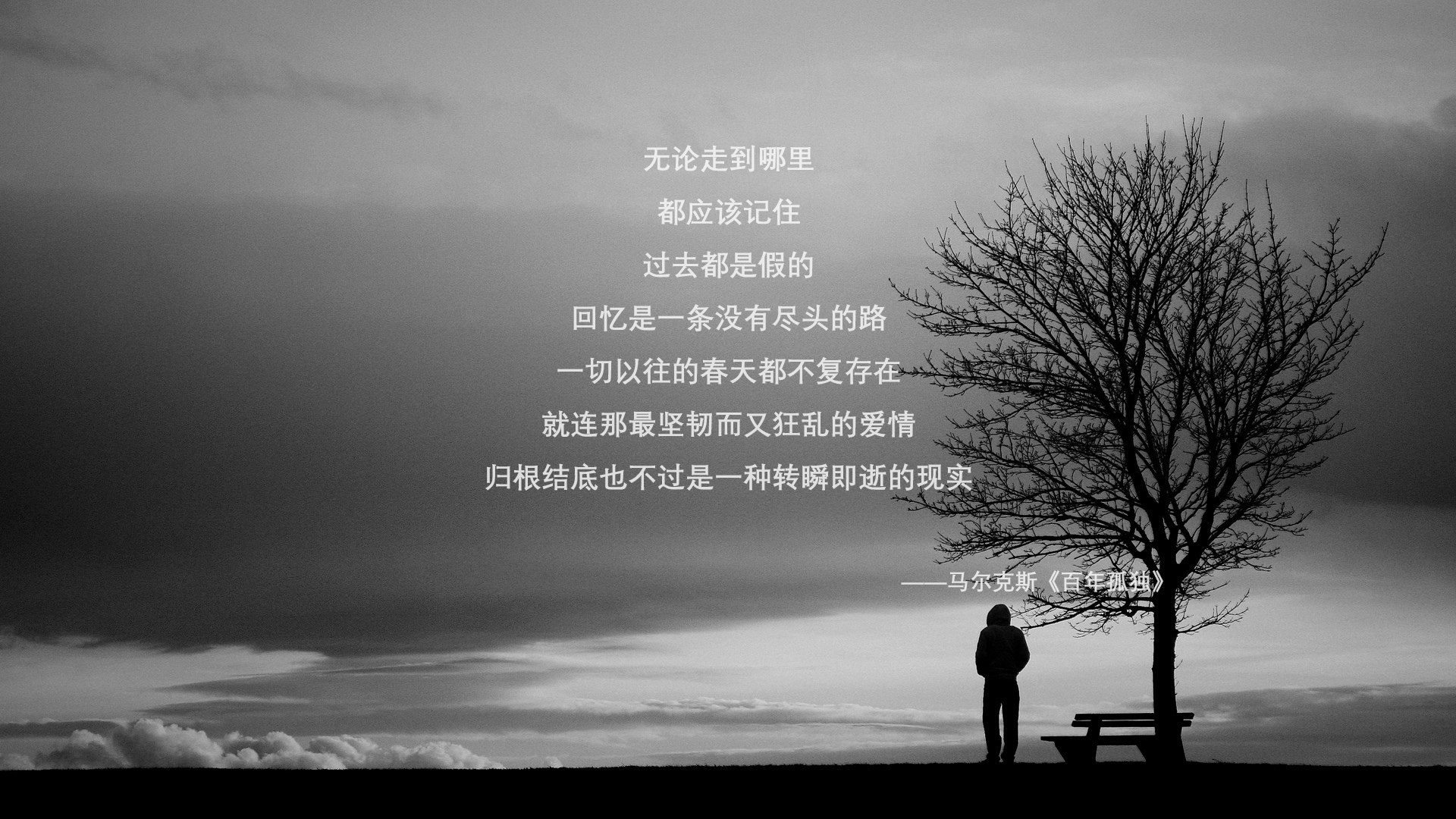 戈贝尔掌控内线如铁闸，国王队碾压新疆提前锁定胜局