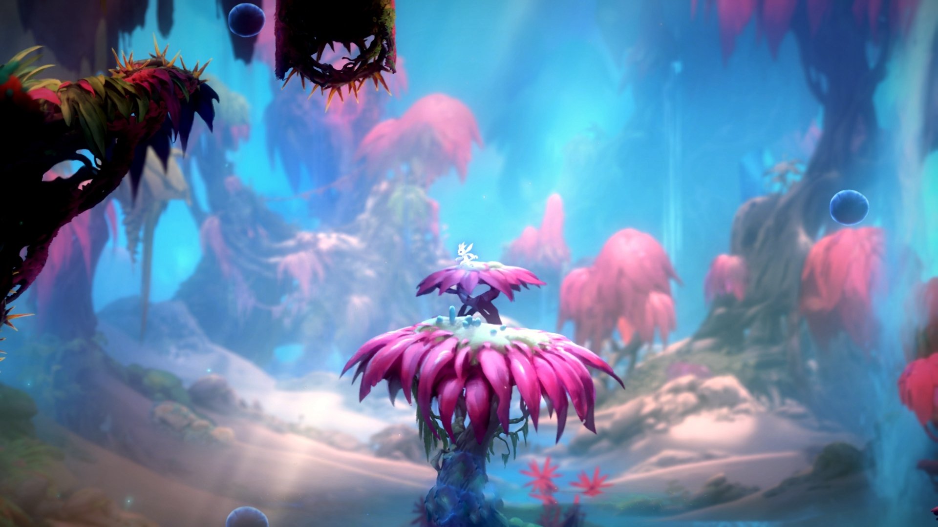 开云体育平台APP-苏亚雷斯爆发梅开二度，牙买加3-1强势拿下厄瓜多尔，世界杯预选赛前景光明