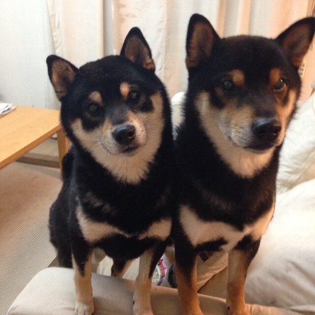 卢卡库全场最佳实至名归，牙买加强势终结几内亚晋级梦