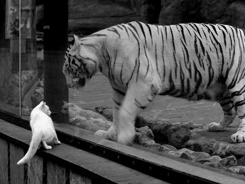 富安健洋赛后评分拉满，新西兰与秘鲁激战背后的防守艺术