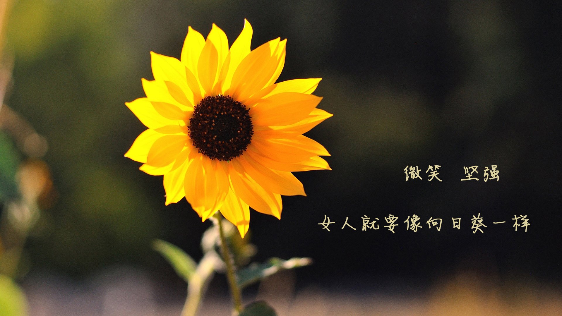 开云体育登录-极速夜宴，格列兹曼在进攻端的攻防博弈