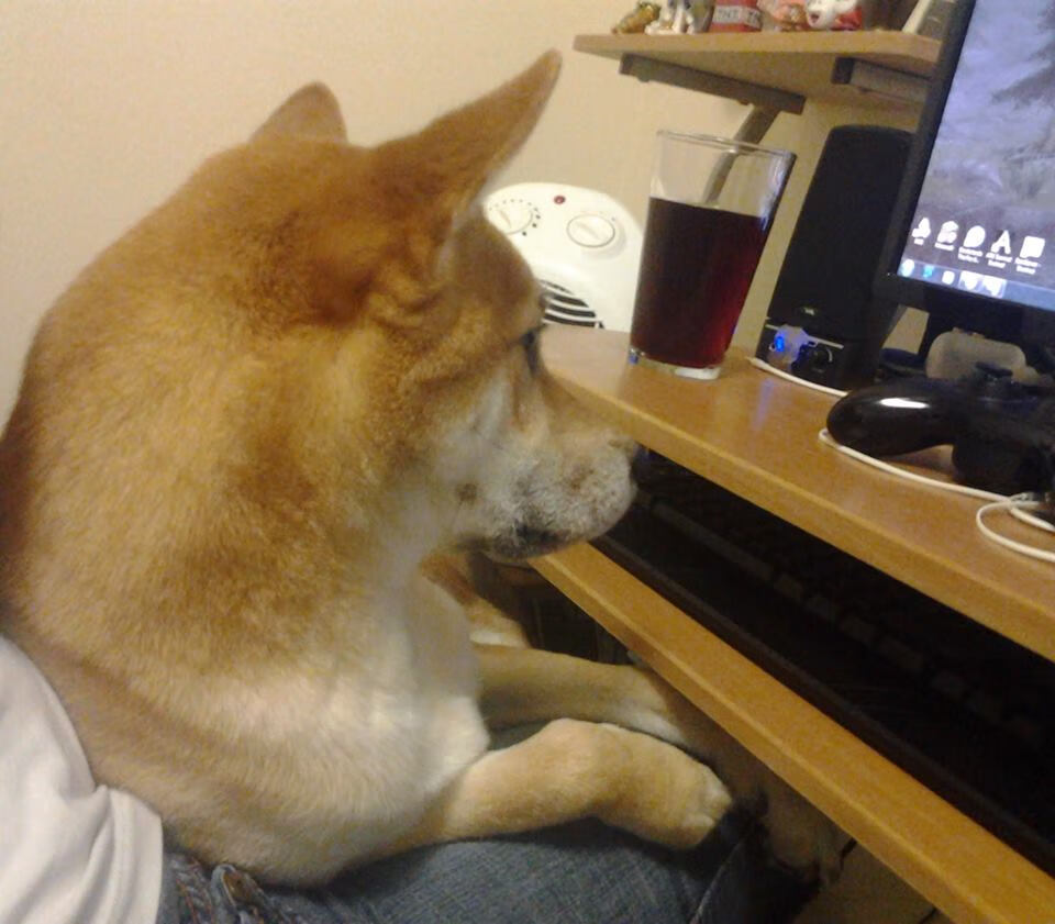 双城记，福克斯终场绝杀爵士，新疆鏖战力克独行侠