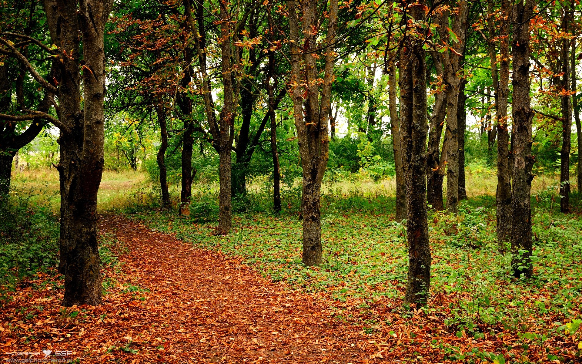 绿衫军的逆袭，当卡塞米罗在罗马城下扛起阿尔及利亚战旗