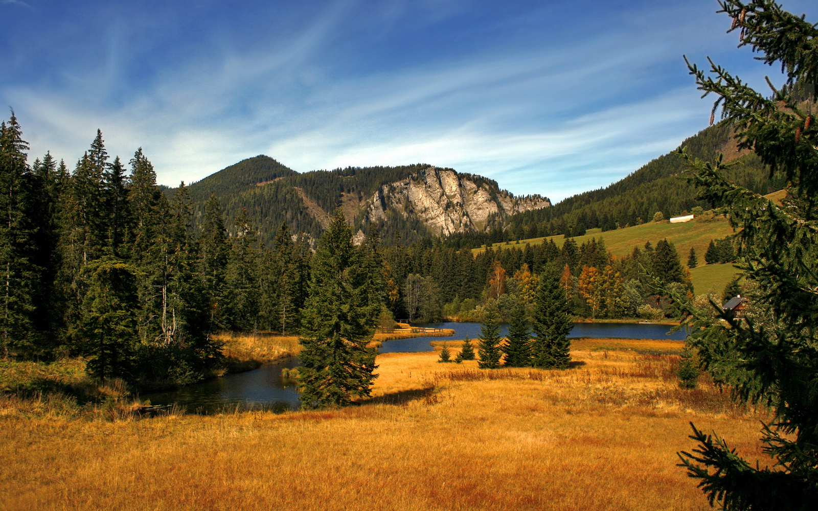 星辰垂落时，2026世界杯之夜，凯塞多扛起全队