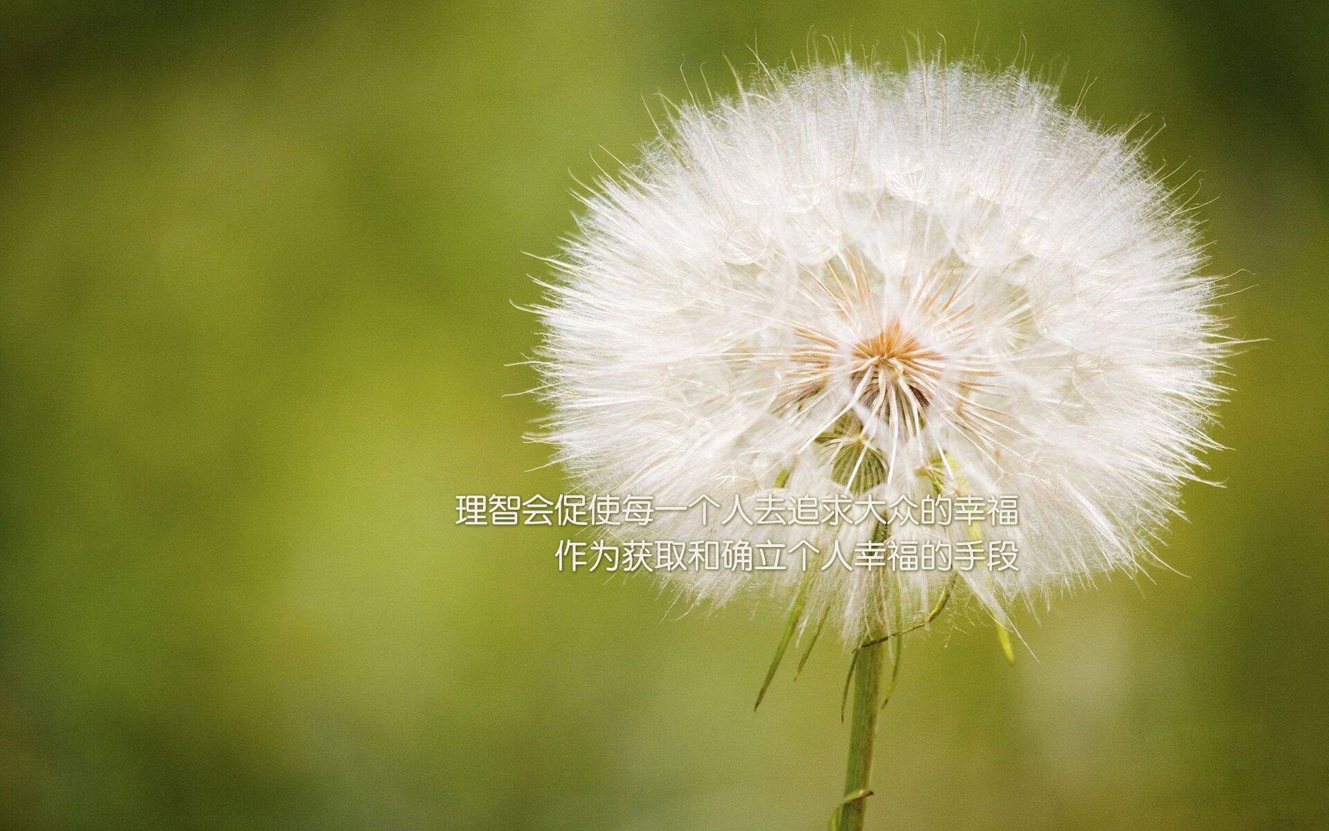 开云体育-横跨太平洋的篮球对话，马克西生涯之夜与公牛对北京的降维打击