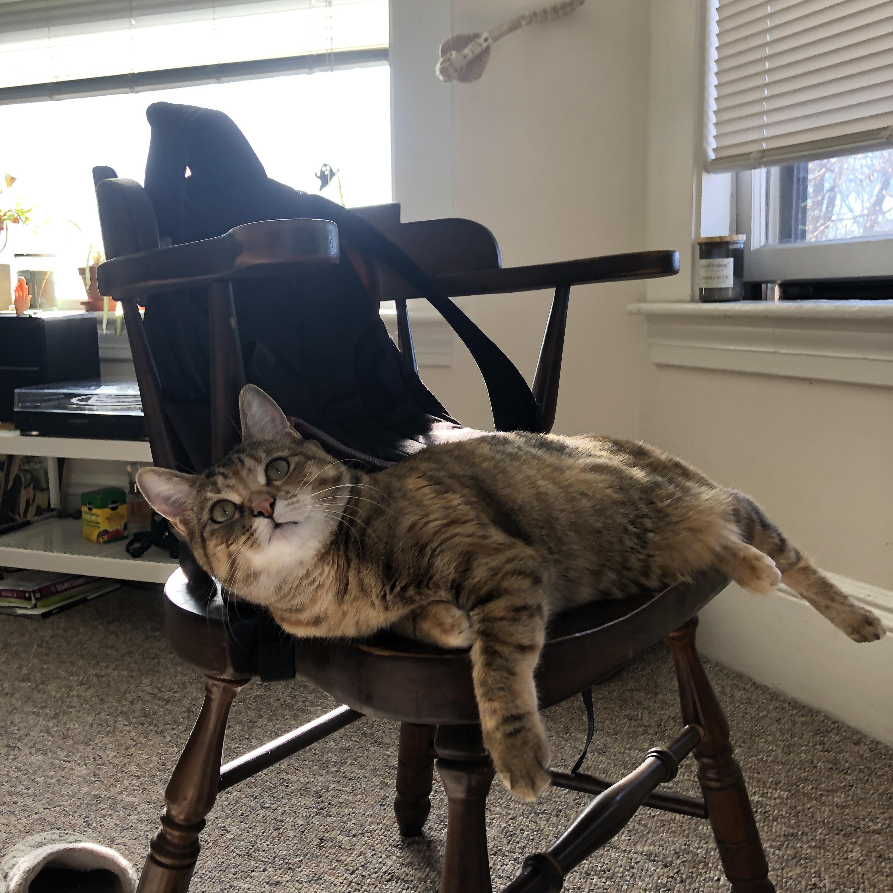 开云官网-西甲国家德比之夜，当马丁内利化身沉默锁匠，巨星锋线在钢铁意志前黯然失声