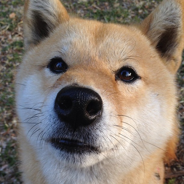 德比夜空下，少年宣告星辰时代来临