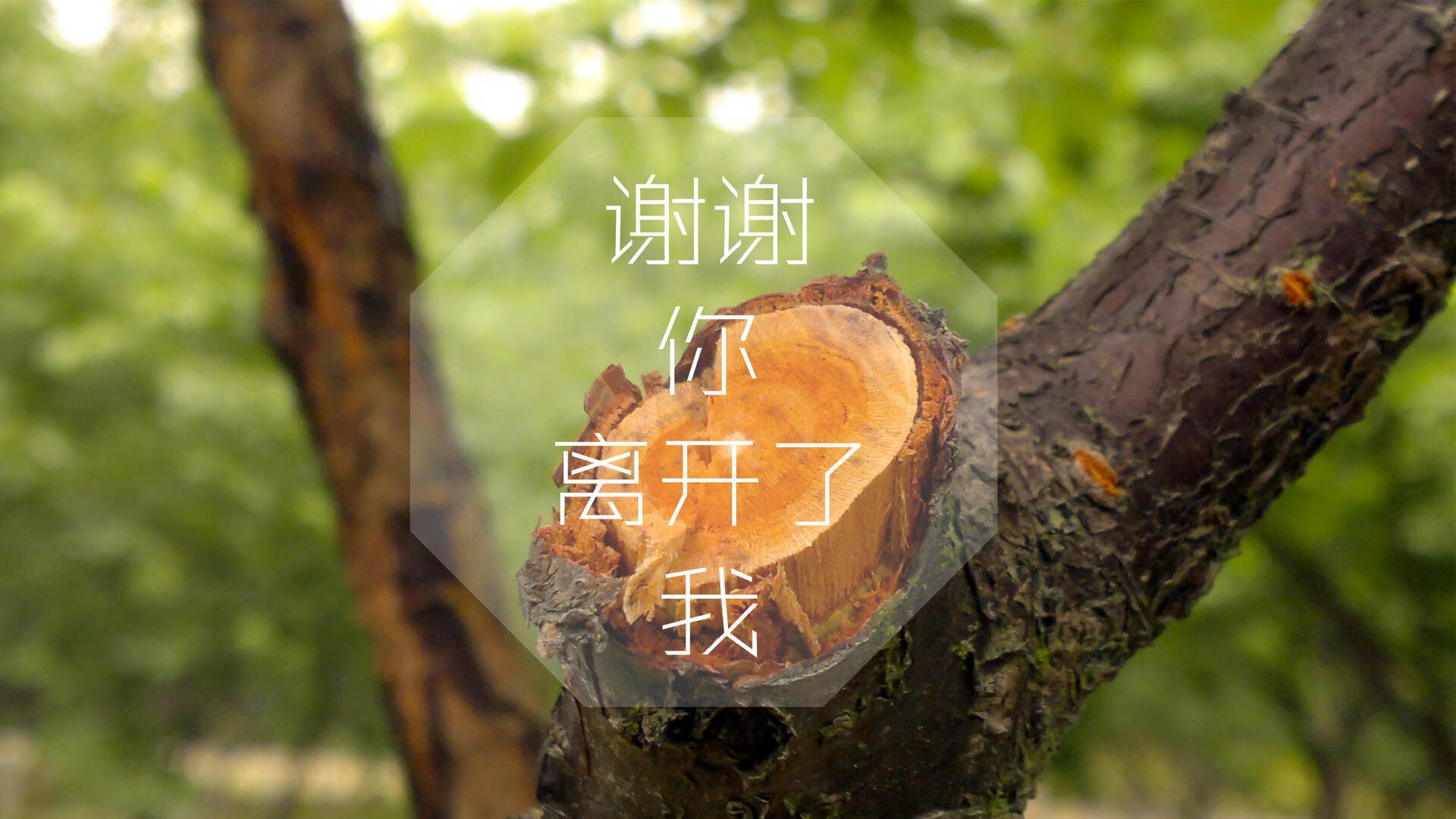 -复仇之夜，瑞士逆转阿联酋，吉鲁闪耀2026世界杯强强对话