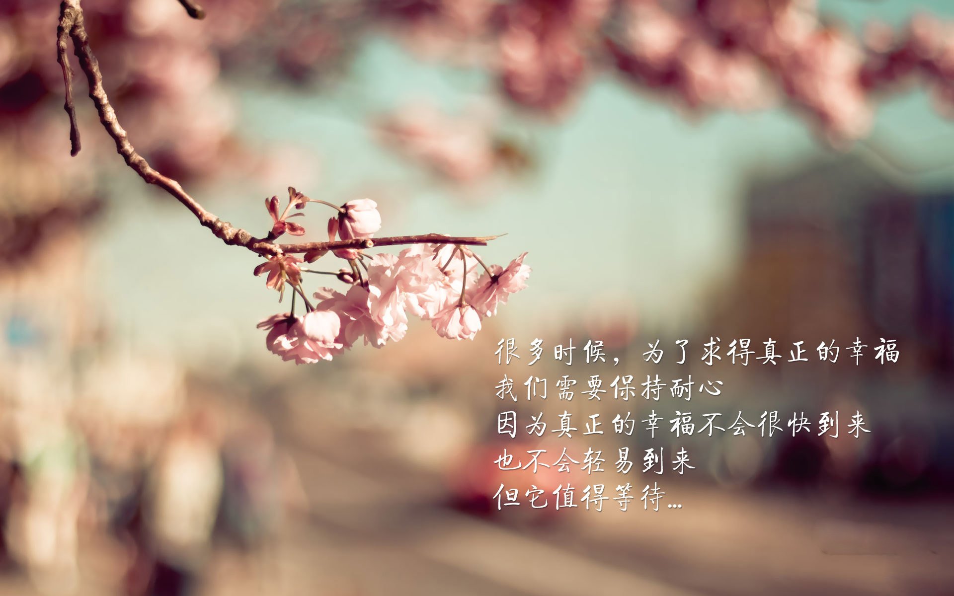王者之师,势不可挡—葡萄牙碾压加拿大挺进2026世界杯,维尼修斯率队高歌猛进